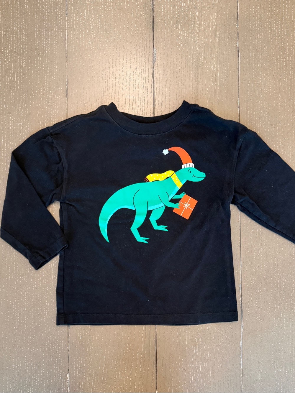 Hanna Andersson Boys’ Holiday Dino Giftosaurus Long-Sleeve T-Shirt • Size 3T